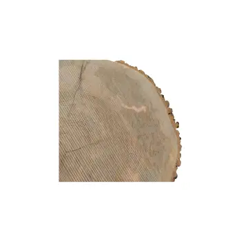 Plaster Jesionowy 83x69x9cm