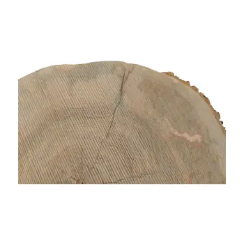 Plaster Jesionowy 83x69x9cm