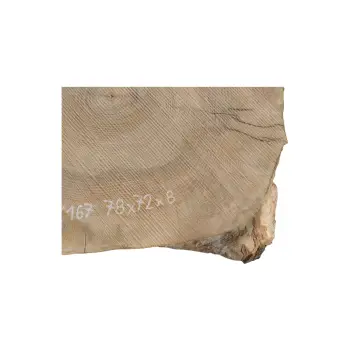 Plaster Jesionowy 78x72x8cm