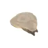 Plaster Jesionowy 81x74x8cm