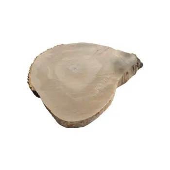 Plaster Jesionowy 81x74x8cm
