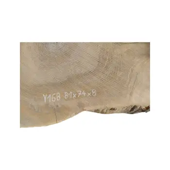 Plaster Jesionowy 81x74x8cm