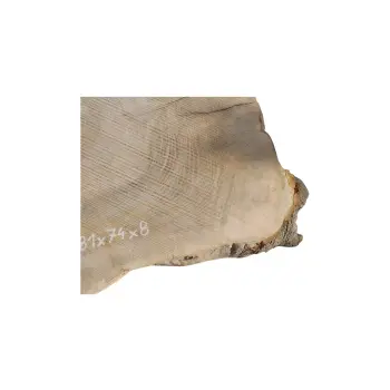 Plaster Jesionowy 81x74x8cm