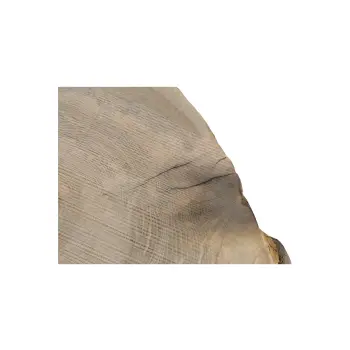 Plaster Jesionowy 81x74x8cm