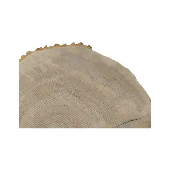 Plaster Jesionowy 81x74x8cm