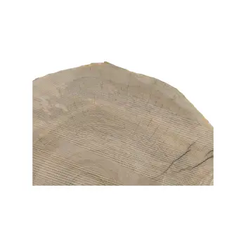 Plaster Jesionowy 87x73x9cm