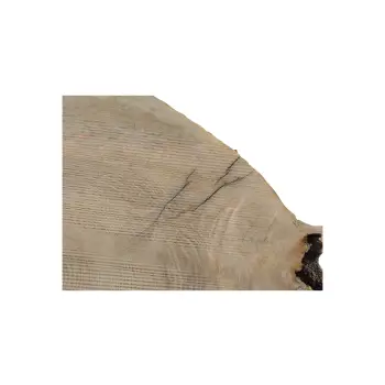 Plaster Jesionowy 87x73x9cm