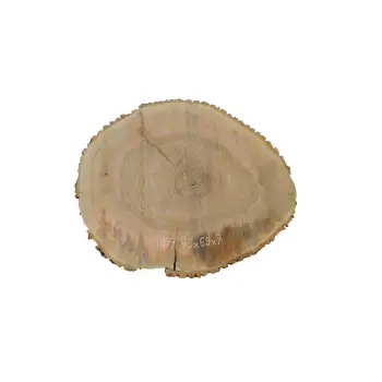 Plaster Jesionowy 85x69x7cm