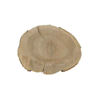 Plaster Jesionowy 84x69x9cm