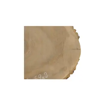 Plaster Jesionowy 84x69x9cm