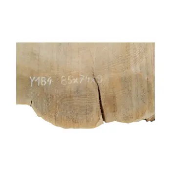 Plaster Jesionowy 85x74x9cm