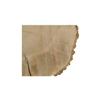 Plaster Jesionowy 85x74x9cm