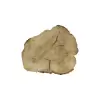 Plaster Kasztanowca 79x89x8cm