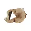 Plaster Kasztanowca 85x67x8cm