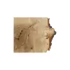 Plaster Kasztanowca 85x67x8cm