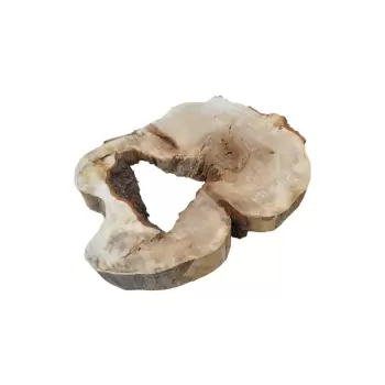 Plaster Kasztanowca 85x67x8cm