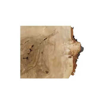 Plaster Kasztanowca 85x67x8cm
