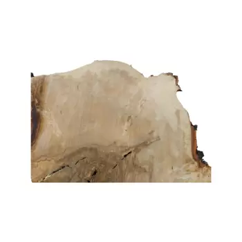 Plaster Kasztanowca 85x67x8cm