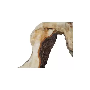 Plaster Kasztanowca 85x67x8cm