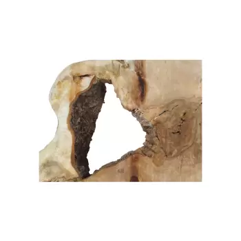 Plaster Kasztanowca 85x67x8cm