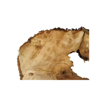 Plaster Kasztanowca 82x69x9cm