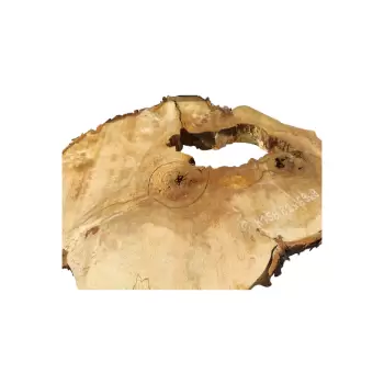 Plaster Kasztanowca 82x69x9cm