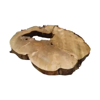 Plaster Kasztanowca 80x68x8cm