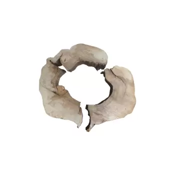 Plaster Kasztanowca w Kawałkach 92x88x10cm