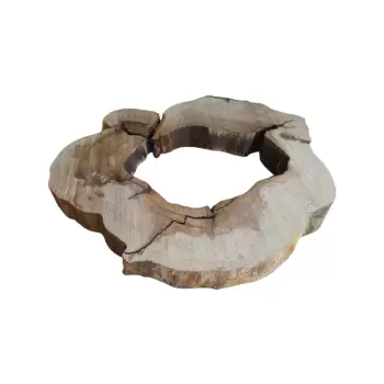 Plaster Kasztanowca w Kawałkach 93x90x10cm