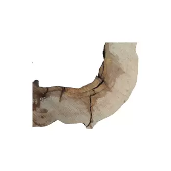 Plaster Kasztanowca w Kawałkach 93x90x10cm