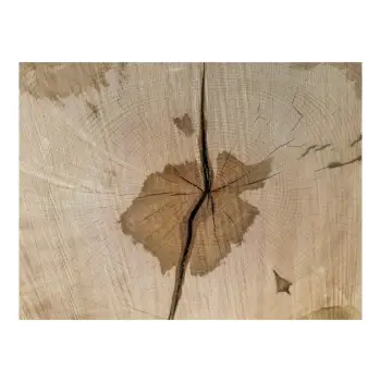 Plaster Lipy 95x67x9cm