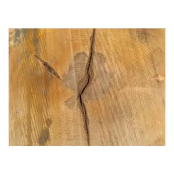 Plaster Lipy 90x69x9cm