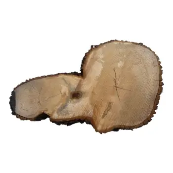 Plaster Lipy 90x60x9cm
