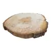 Plaster Lipy 73x71x8cm