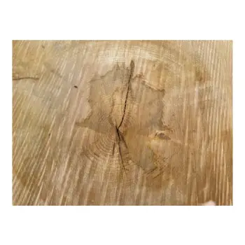 Plaster Lipy 72x71x8,5cm