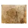 Plaster Lipy 80x71x8cm
