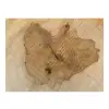 Plaster Lipy 78x73x7,5cm