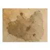 Plaster Lipy 78x73x7,5cm