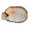 Plaster Lipy 76x44x6cm