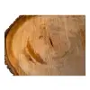 Plaster Lipy 77x45x7cm