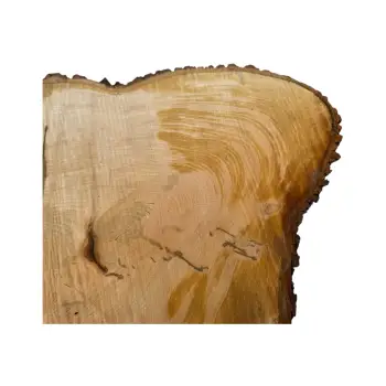 Plaster Lipy 123x67x9cm