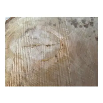 Plaster Lipy 67x47x6cm
