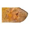 Plaster Lipy 85x46x7cm