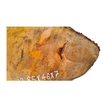 Plaster Lipy 85x46x7cm