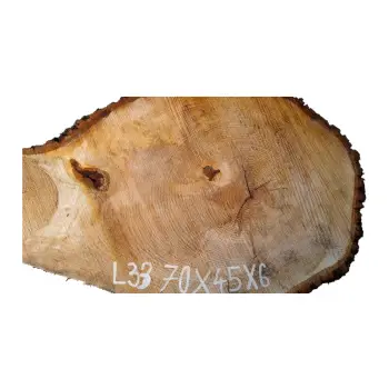 Plaster Lipy 70x45x6cm