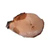 Plaster Lipy 58x44x6cm