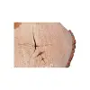 Plaster Lipy 58x44x6cm