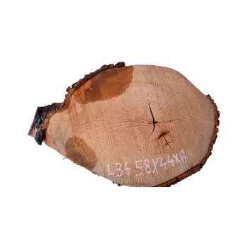 Plaster Lipy 58x44x6cm