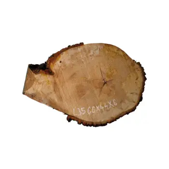 Plaster Lipy 66x44x6cm