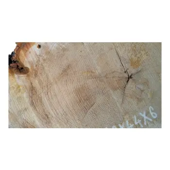 Plaster Lipy 66x44x6cm